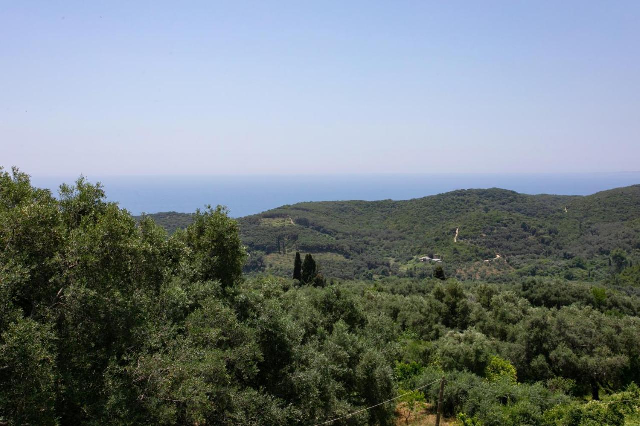 Gaia Apartments I Anthousa  Bagian luar foto